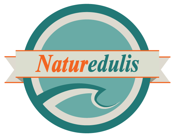 Logo azienda